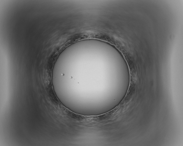 X0000112831253200908210932