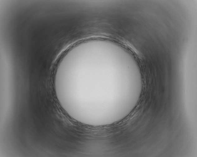 X0000112831256200908210932