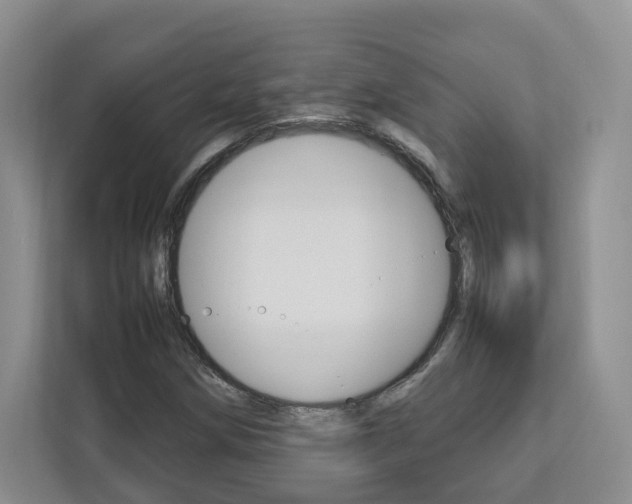 X0000112831258200908210932
