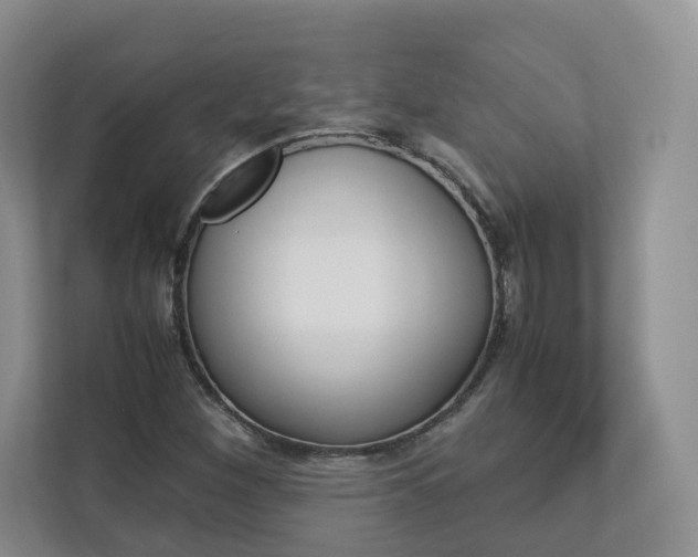 X0000112831260200908210931