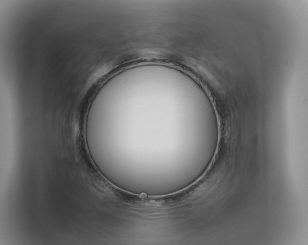 X0000112831261200908210931