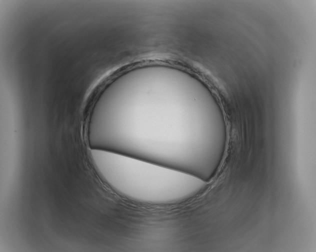 X0000112831262200908210931