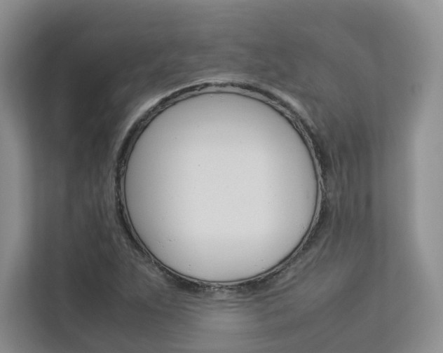 X0000112831263200908210931