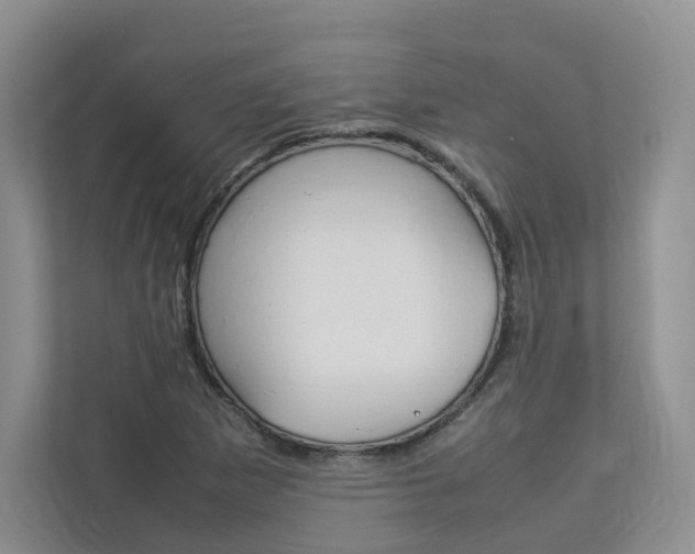 X0000112831265200908210931