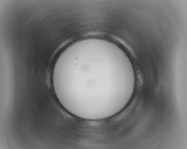 X0000112831266200908210931