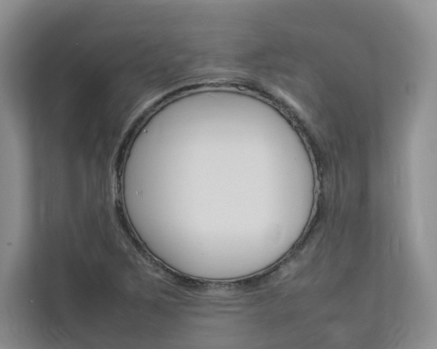 X0000112831267200908210931