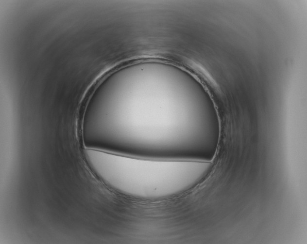 X0000112831268200908210931