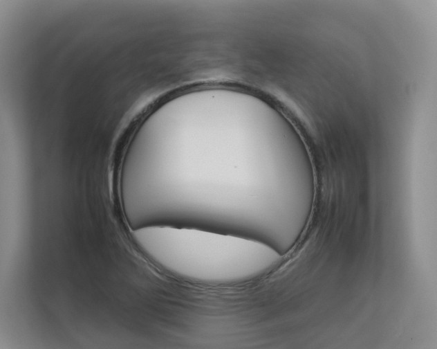 X0000112831270200908210931