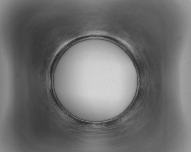 X0000112831271200908210931