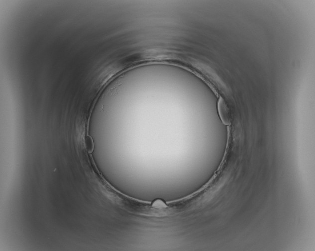 X0000112831273200908210931