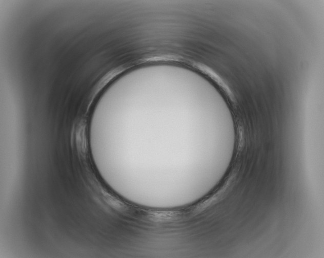 X0000112831274200908210931