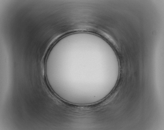 X0000112831275200908210931