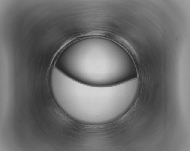 X0000112831276200908210931