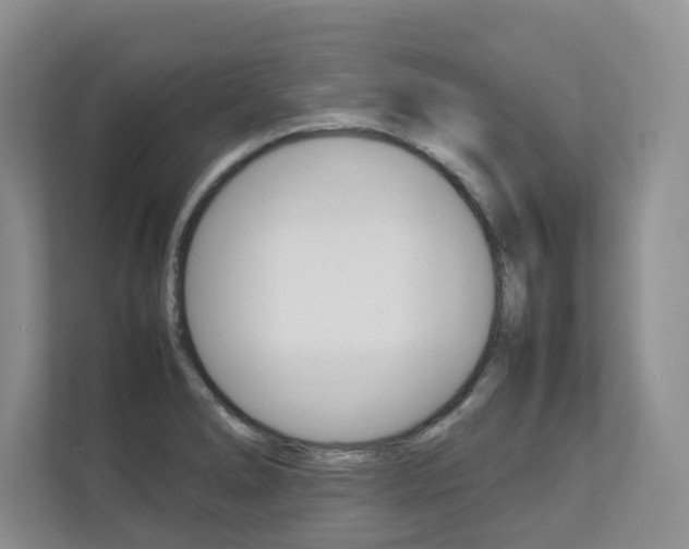 X0000112831278200908210931