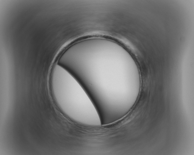 X0000112831279200908210931