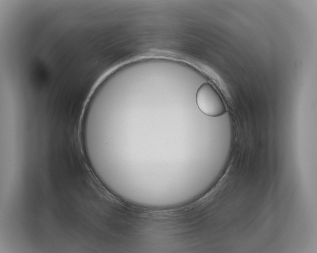 X0000112831280200908210931