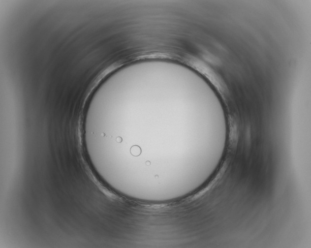 X0000112831282200908210931