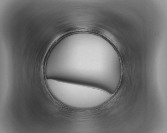 X0000112831283200908210931