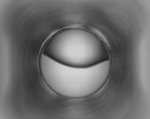 X0000112831284200908210931