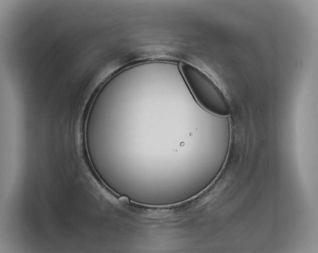 X0000112831285200908210931
