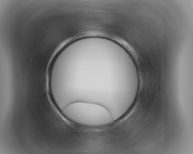 X0000112831286200908210931