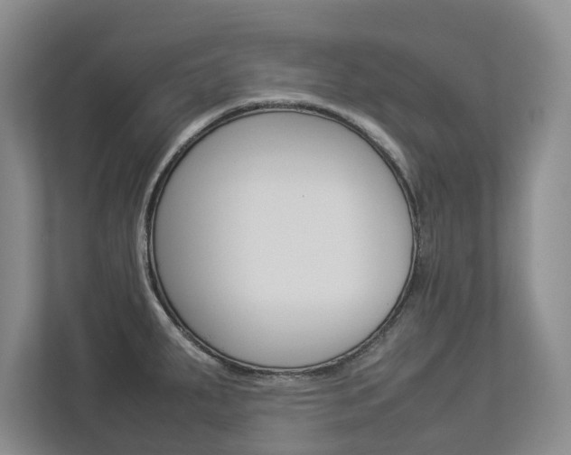 X0000112831287200908210931
