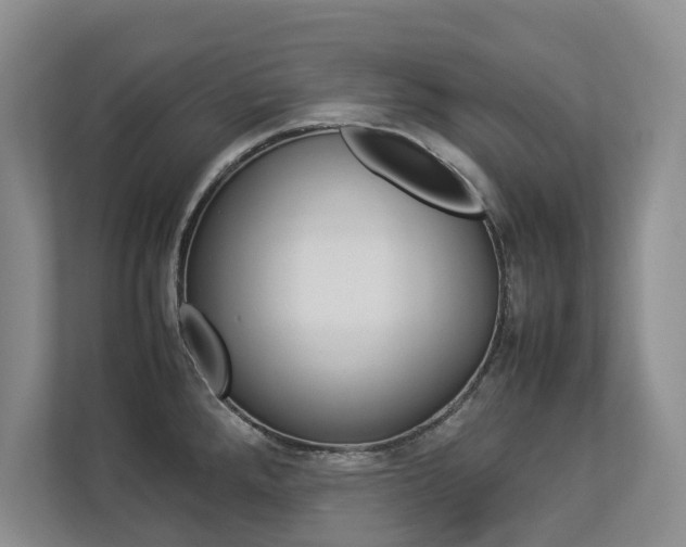 X0000112831288200908210931