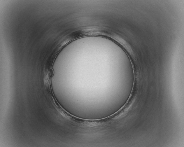 X0000112831289200908210931
