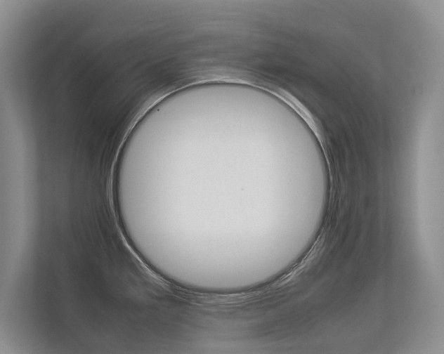 X0000112831293200908210931