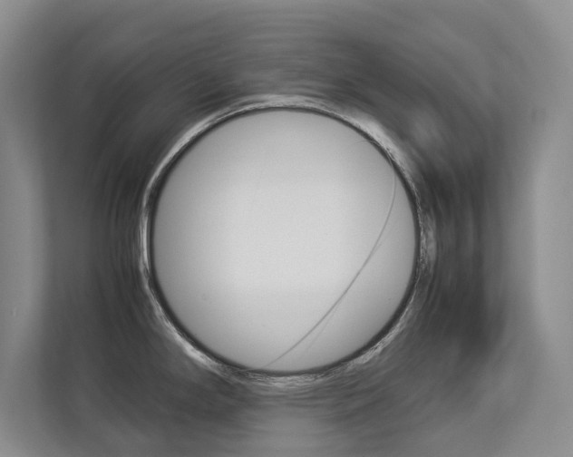 X0000112831294200908210931