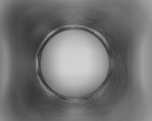 X0000112831295200908210931