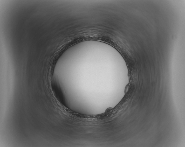X0000112831297200908210930