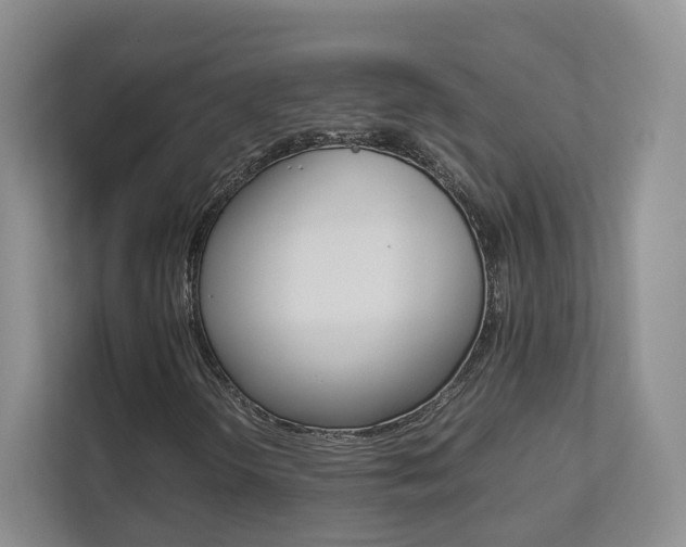 X0000112831298200908210930