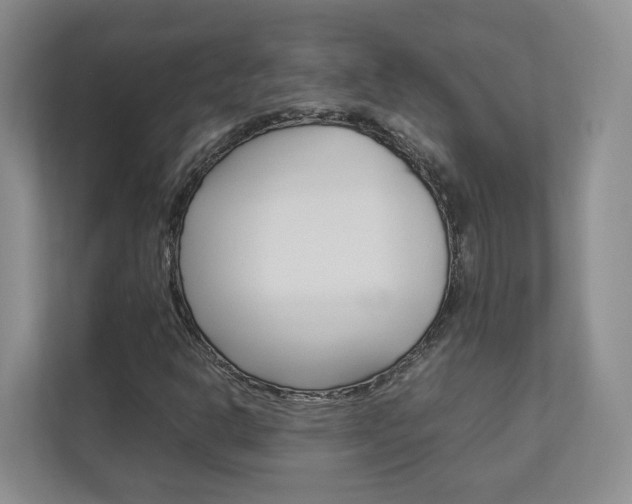 X0000112831302200908210930
