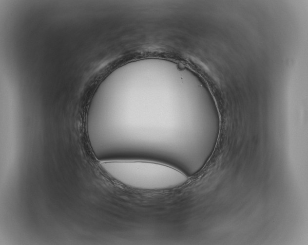 X0000112831303200908210930