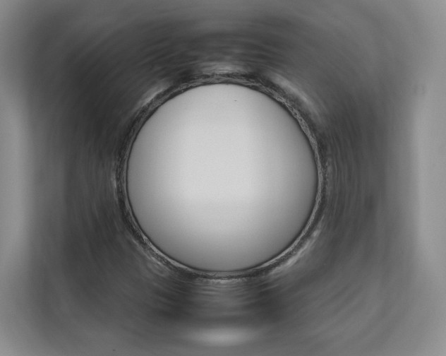 X0000112831305200908210931