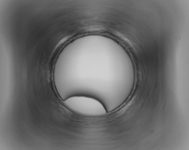 X0000112831306200908210931