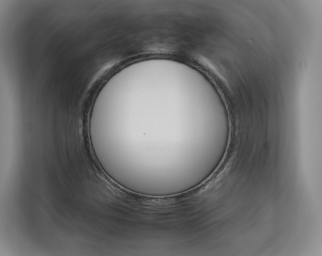 X0000112831307200908210931