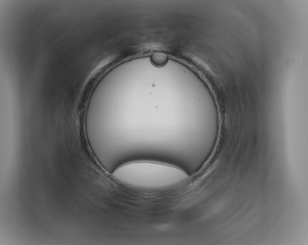 X0000112831309200908210931