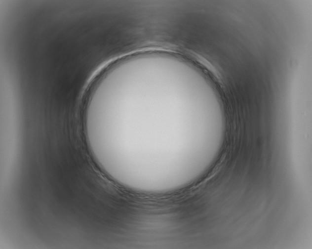 X0000112831310200908210931