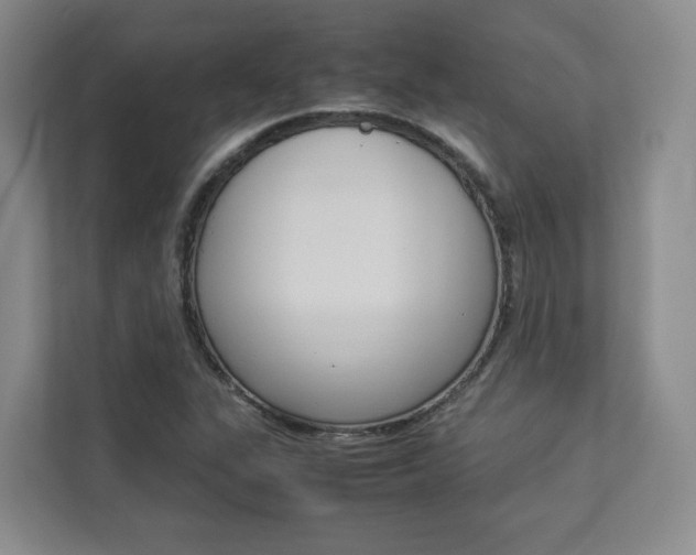 X0000112831311200908210931
