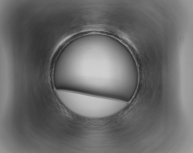 X0000112831312200908210931
