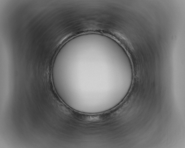 X0000112831313200908210931