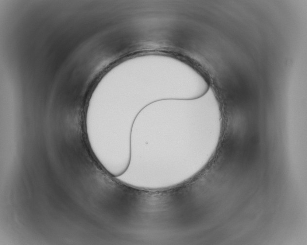 X0000112831314200908210931