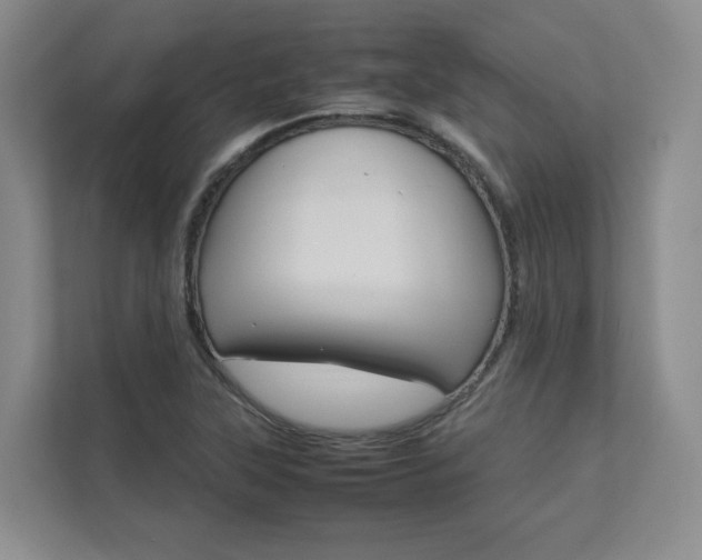 X0000112831315200908210931