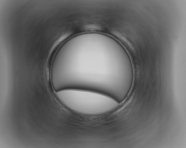 X0000112831317200908210931
