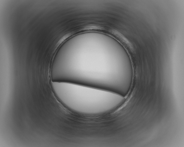 X0000112831321200908210931