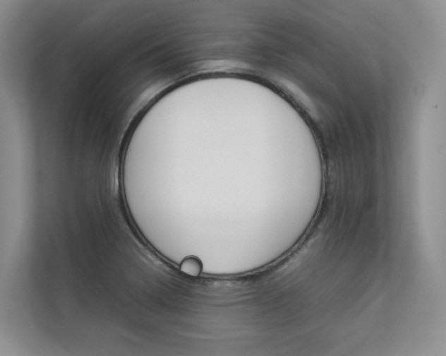 X0000112831322200908210931