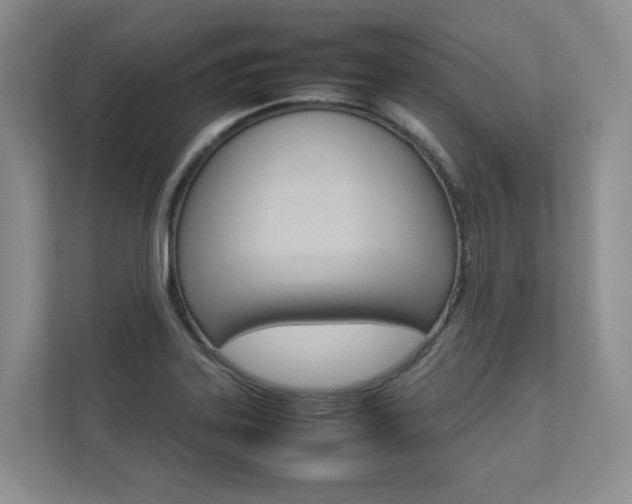 X0000112831323200908210931