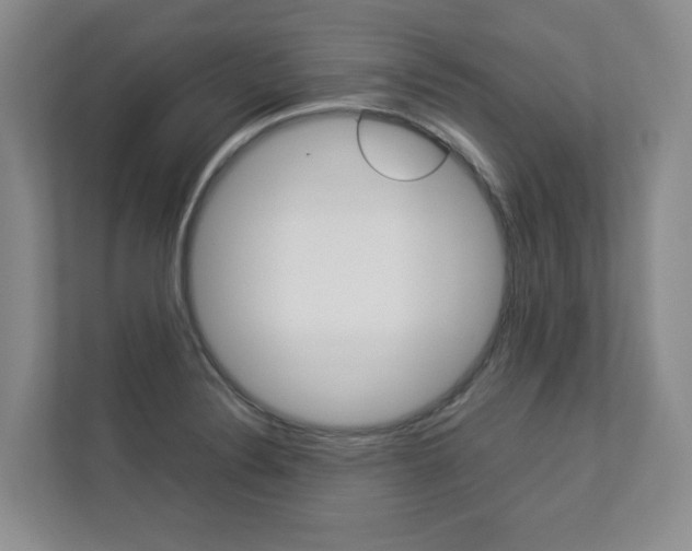 X0000112831324200908210931